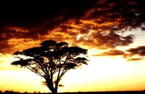 rapports traditionnels de l’homme africain avec Dieu