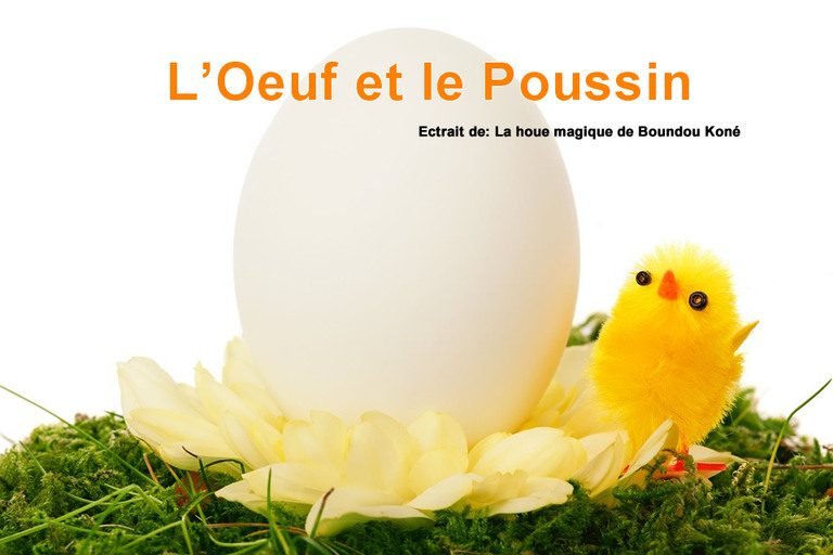 Conte de Côte d&rsquo;Ivoire – L’œuf et le poussin
