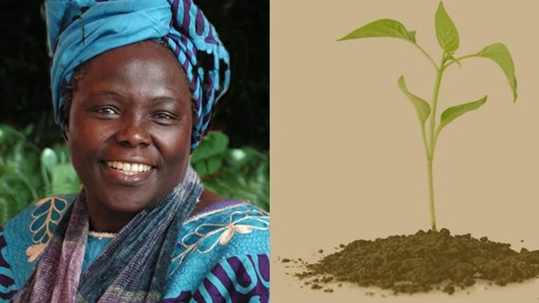 Wangari MAATHAI (Prix Nobel de la Paix 2004)