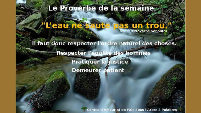 Proverbe Sénoufo