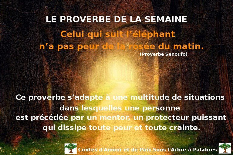 Proverbe Senoufo
